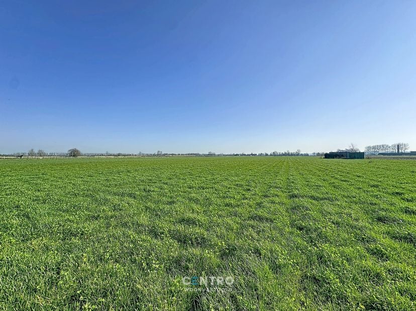 Interessant gelegen perceel grond te Eede (Nederland), op circa 5 minuten van Maldegem, uitermate geschikt voor paarden- en natuurliefhebbers met een
