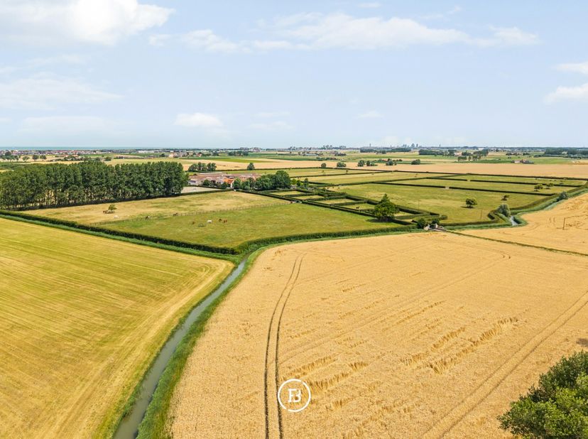 Een uitzonderlijk hippisch landgoed in het hart van de Polders. Te midden van het uitgestrekte polderlandschap van Middelkerke bevindt zich dit exclus