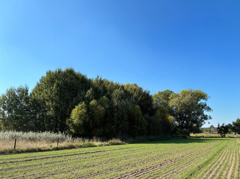 Grond te koop in Huisebaan,
                    9308 Hofstade