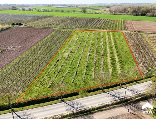                                         Terrain agricole à vendre à Gelinden, € 54.000
