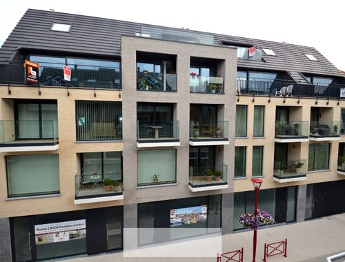                            Handelspand te koop in Ronse
