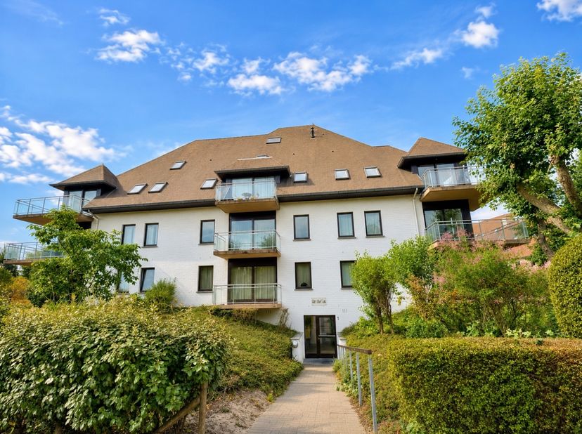 Dit appartement is rustig gelegen aan de Westhoekduinen.&amp;nbsp; De indeling is als volgt: Inkomhal, woonkamer met ingerichte keuken, badkamer met douch