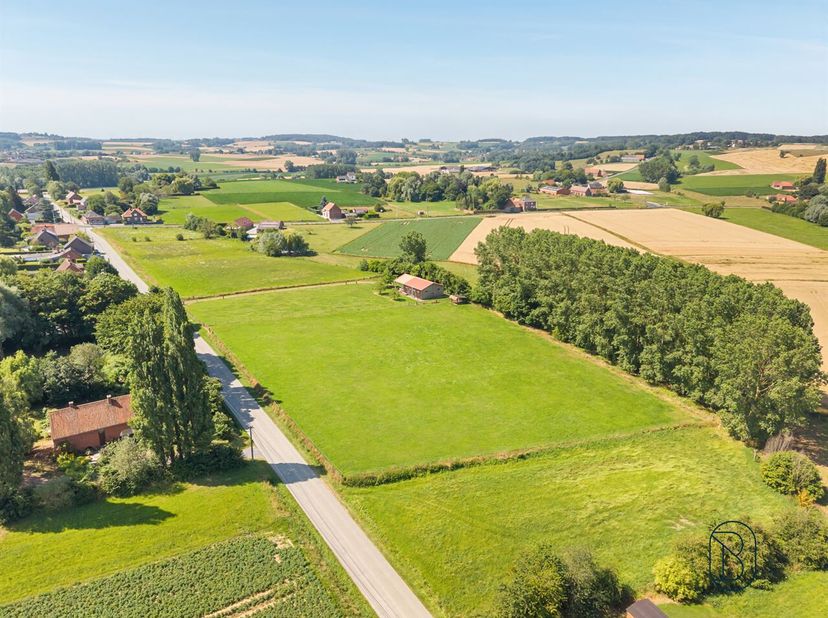 Découvrez ce magnifique terrain rural situé à Ellezelles, une opportunité véritablement unique pour ceux qui rêvent despace, de nature et de possibili