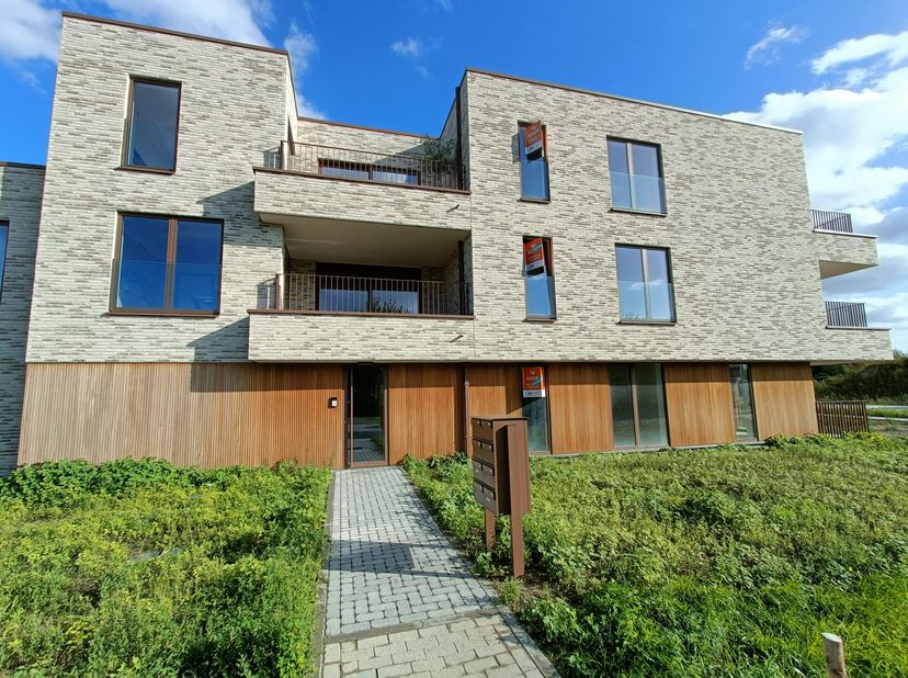 Appartement te huur in Willem II-straat 43D bus 6,
                    3900 Overpelt