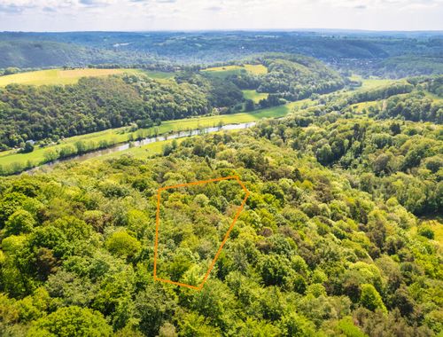                                         Bos te koop in Plainevaux, € 35.000
