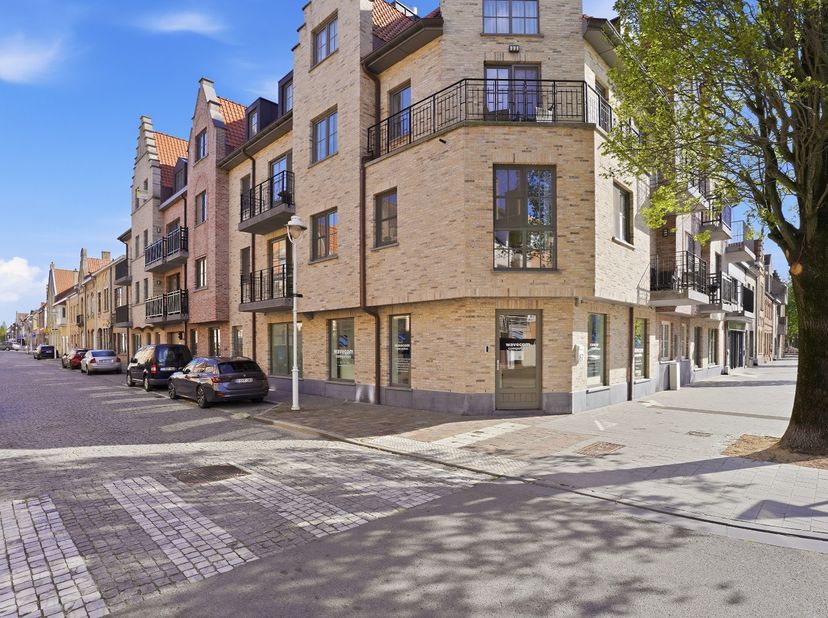 Bien professionnel à vendre à Willem De Roolaan 87,
                    8620 Nieuwpoort