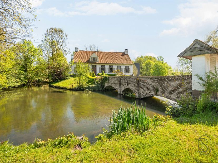 Deze unieke eigendom op 18 hectare, topgelegen op de Kwaremont, biedt enorm veel potentieel en bestaat uit: <br />
* prachtige omwalde hoevewoning (i