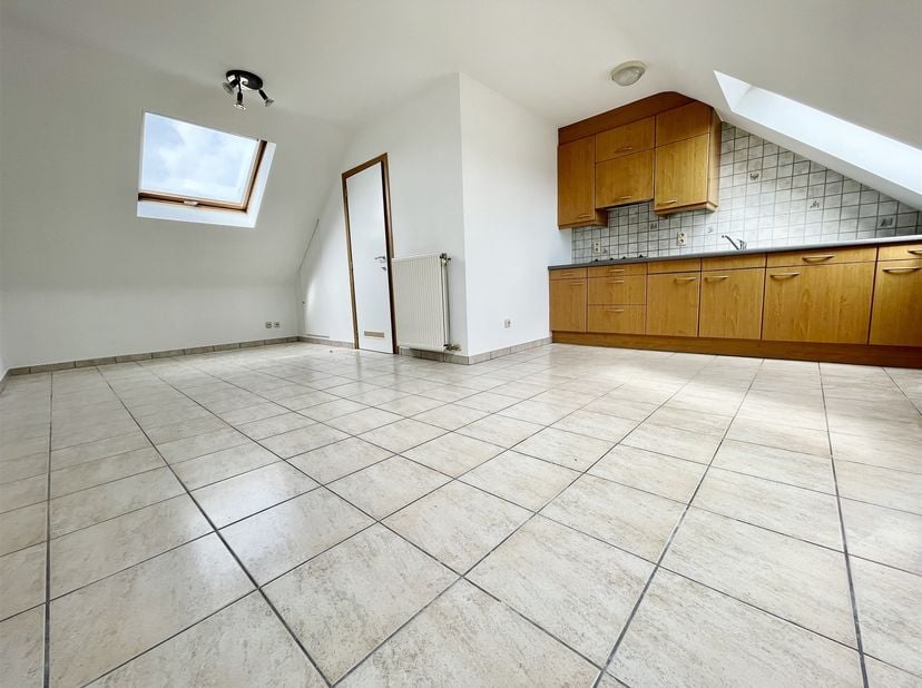 Au dernier étage d'un immeuble avec ascenseur, studio de 50m2 avec cuisine équipée, espace de vie lumineux, espace douche avec coin laverie, WC séparé