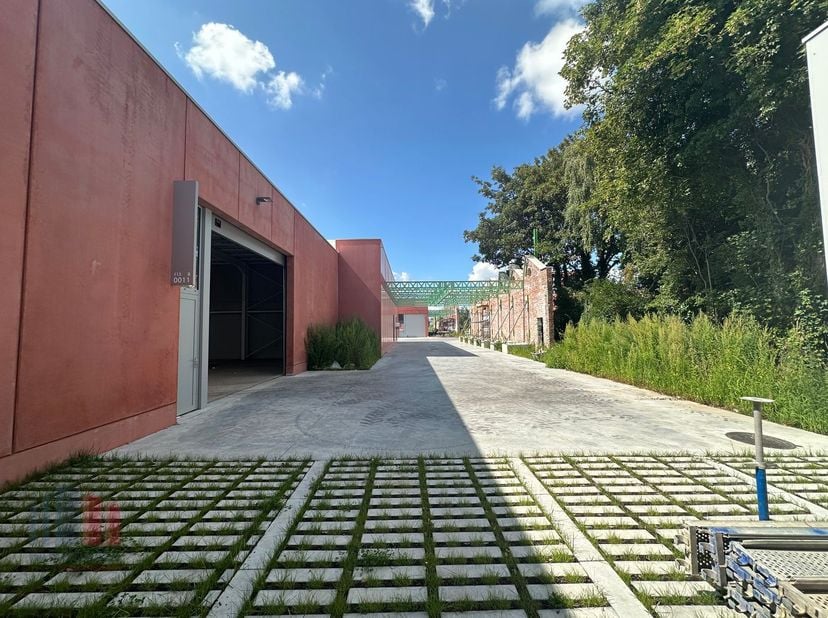 Bien professionnel à vendre à Walle 111/113,
                    8500 Kortrijk