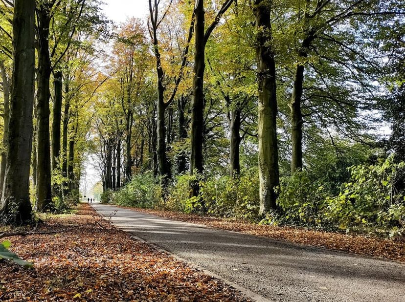 COMING SOON - Villa op residentiële toplocatie te Aartselaar