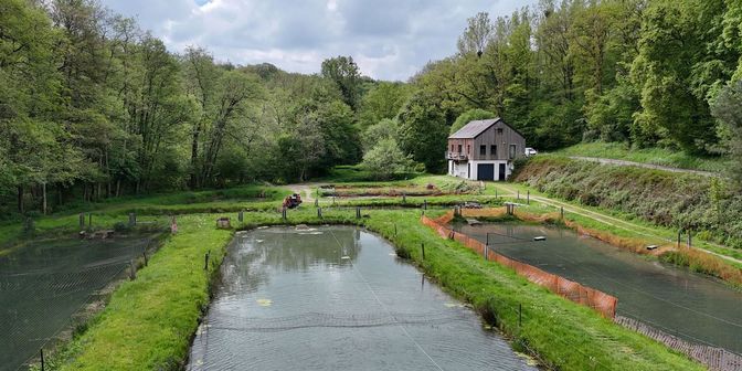 Maison à vendre à Chemin de Soulwez 51, 5600 Franchimont