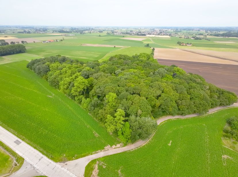 Tussen Vladslo en Leke, nabij Diksmuide, bieden wij u dit uitzonderlijke stukje natuurschoon aan. Dit perceel bos, gelegen in natuurgebied, meet een t