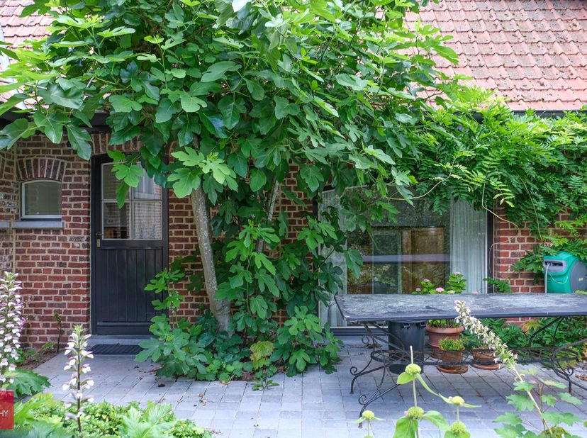 Maison à louer
                    à 9790 Wortegem