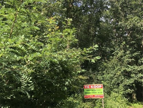                                         Recreatiegrond te koop in Westmeerbeek, € 55.000
