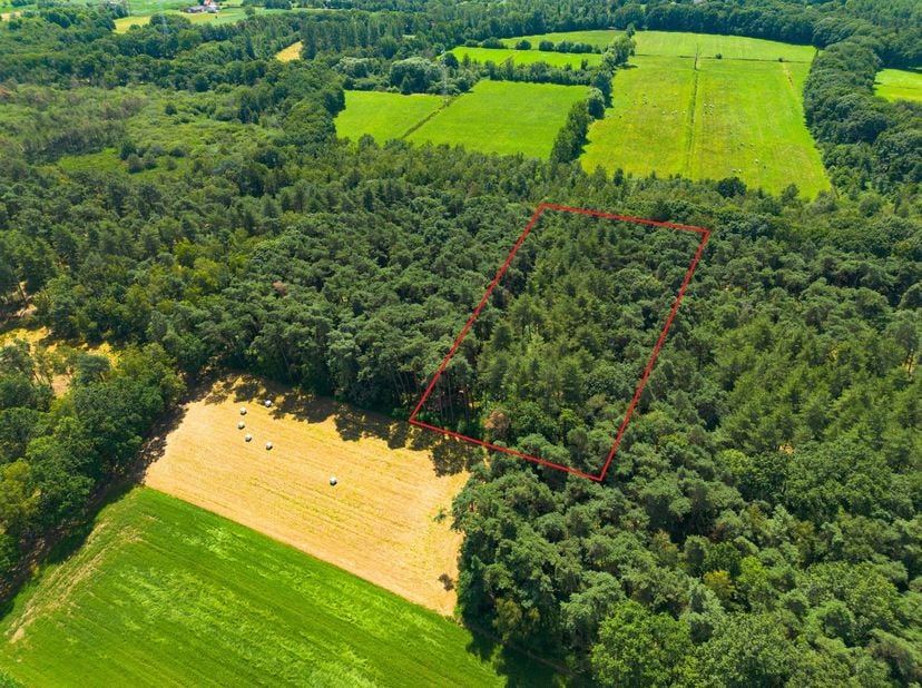 Terrain à vendre
                    à 2440 Geel