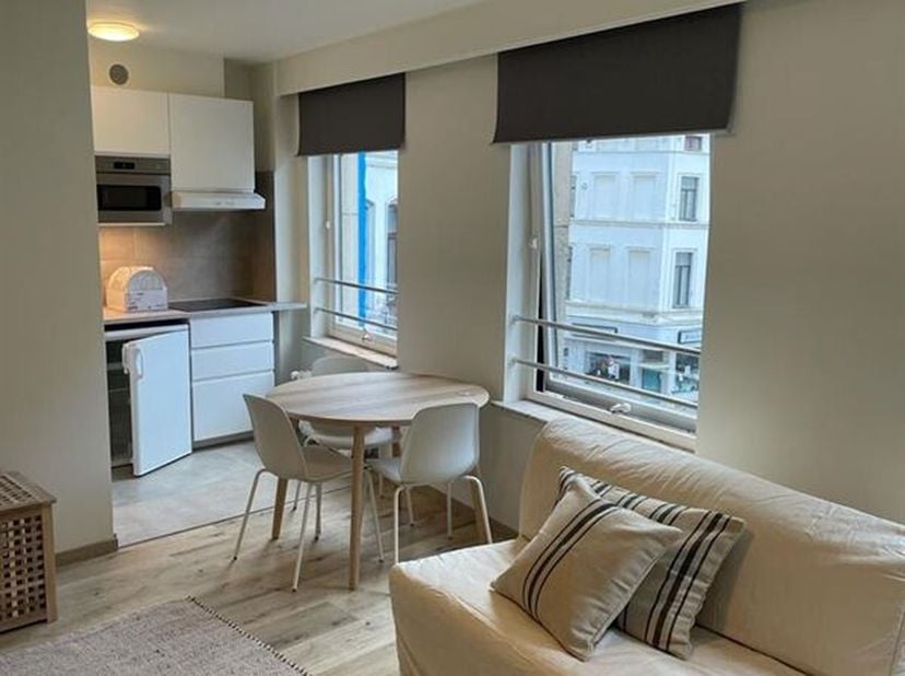 Sint-Katelijnewijk - dicht bij openbaar vervoer en winkels. Gerenoveerd in 2021. Licht studio-appartement van +/-40m², bestaande uit een inkomhal met