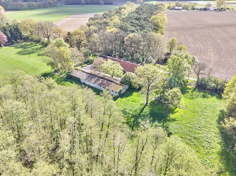 Maison à vendre
                    à 3670 Meeuwen