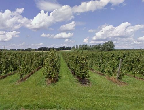                                         Landbouwgrond te koop in Bunsbeek, € 87.000
