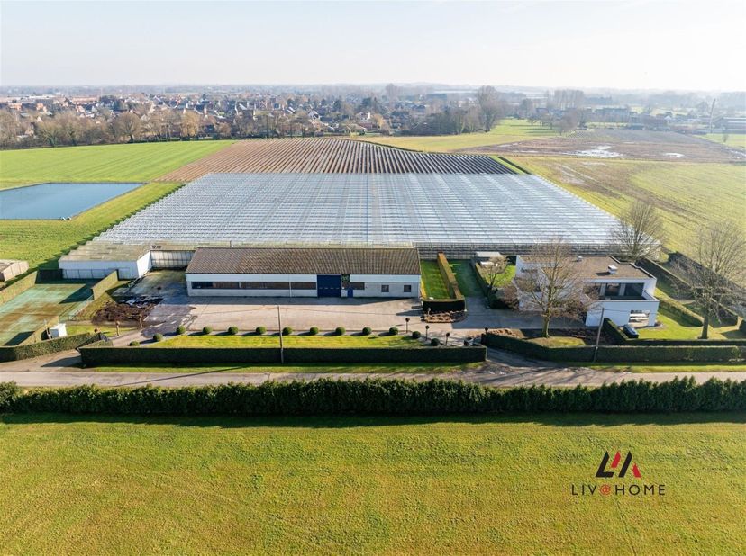 Uniek vastgoed in Koningshooikt - landelijke parel op 10,6 ha met moderne woonst, loods en serres<br />
In een oase van rust en groen, op een zeldzaa