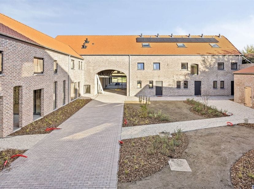 Le Hof Van Rijkel sera situé dans la Dionysius van Leeuwenstraat, sur le site du presbytère, de la salle paroissiale et de la ferme carrée.<br />
Il n