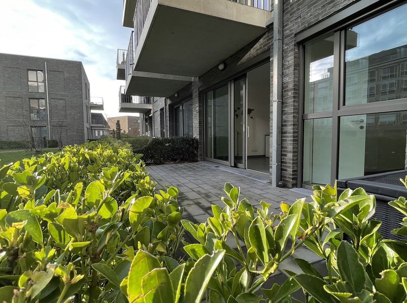 Appartement à louer
                    à 8560 Gullegem