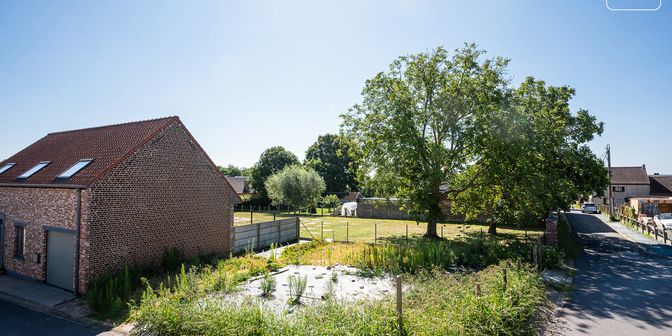 Terrain à vendre à Dreefstraat, 9552 Borsbeke