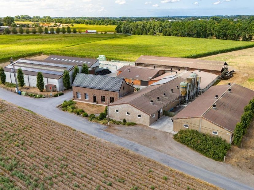 Huis te koop in Vrijgeweidstraat 57,
                    8750 Wingene