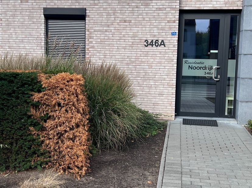 Appartement te huur in Rijksweg 346 bus A1,
                    3630 Mechelen-aan-de-Maas