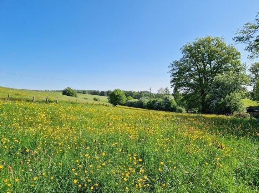 Superbe terrain situé en zone d’habitat et zone agricole, d’une superficie totale de 1 hectare 44 ares et 66 centiares, au cœur de la Vallée de la Sem