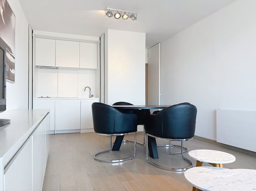 Dit instapklare en gemeubelde appartement, volledig gerenoveerd in 2022, bevindt zich pal aan de Zeedijk van Nieuwpoort.&amp;nbsp;<br />
Het appartement o