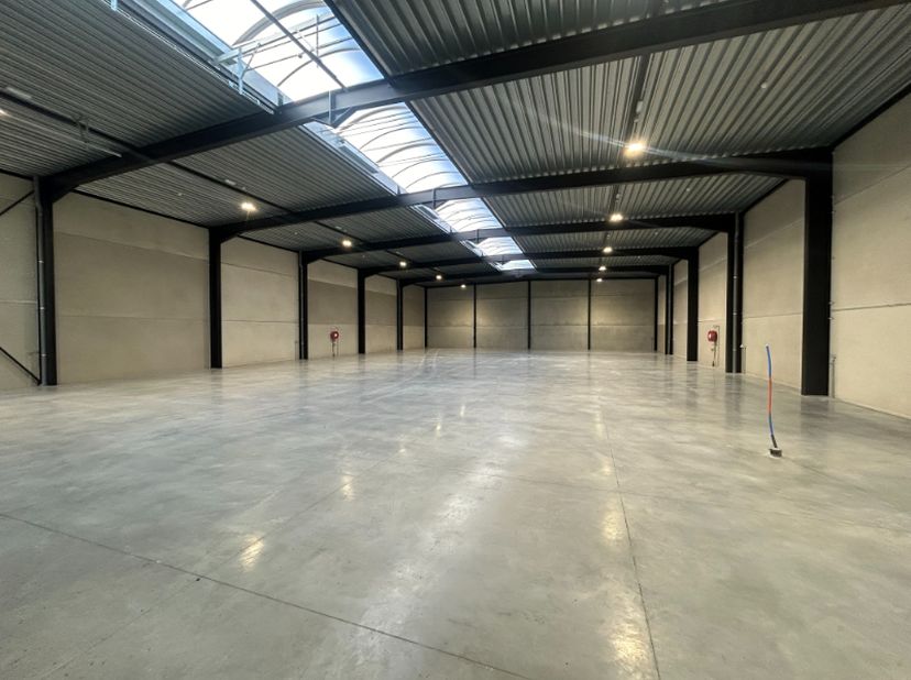Bien professionnel à vendre
                    à 9800 Deinze