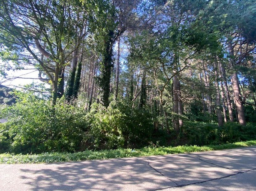 TE KOOP – Bosgrond in Kessel<br />
Bent u op zoek naar een mooi perceel bosgrond met tal van mogelijkheden?<br />
Dan is dit perceel in Kessel zeker h