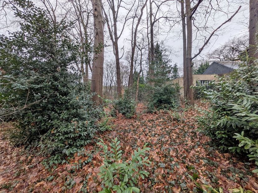 Centraal gelegen perceel bouwgrond van ca. 1.128m², met een straatbreedte van ca. 20m<br />
- Centraal gelegen tussen Essen-centrum en Wildert<br />
-