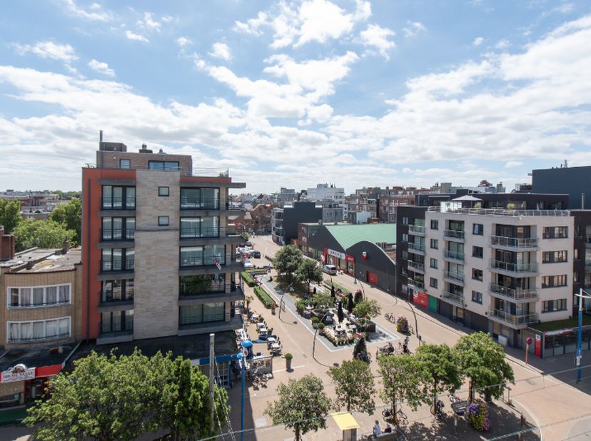 Ce penthouse avec terrasses spacieuses est situé dans le centre commercial de Koksijde-Bad, à proximité de la plage et du front de mer, au sixième éta
