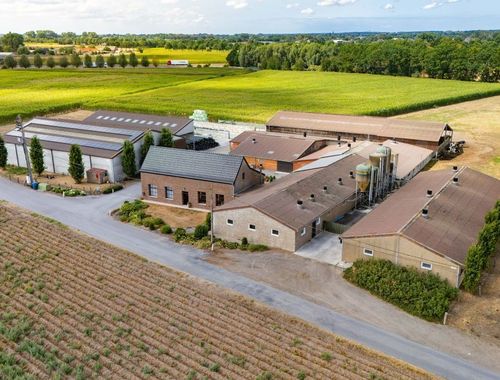                             Boerderij te koop in Wingene
