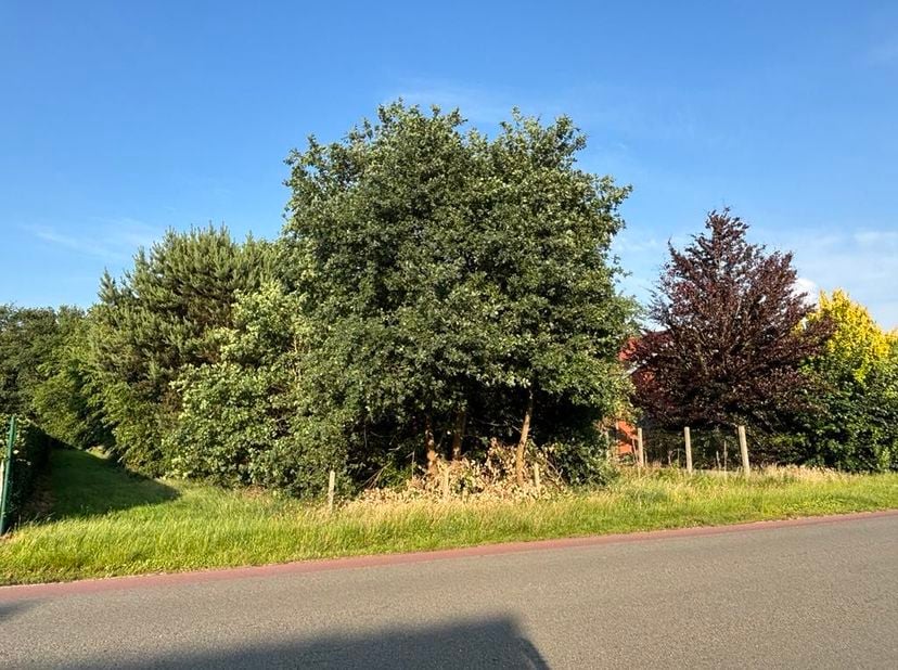 Terrain à vendre
                    à 3520 Zonhoven