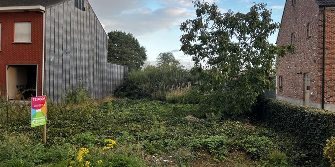 Terrain à vendre à Schooldijk 10, 2560 Bevel
