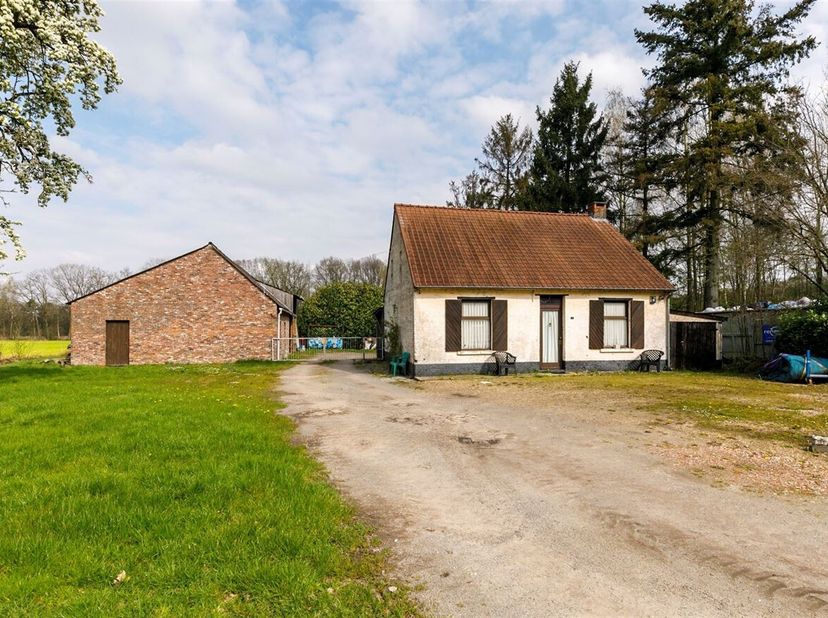 Woning op ruim perceel van 10.928m² met prachtig uitzicht <br />
Ligging: De woning is gelegen op 5 min van het centrum van Retie en op 10 min van het