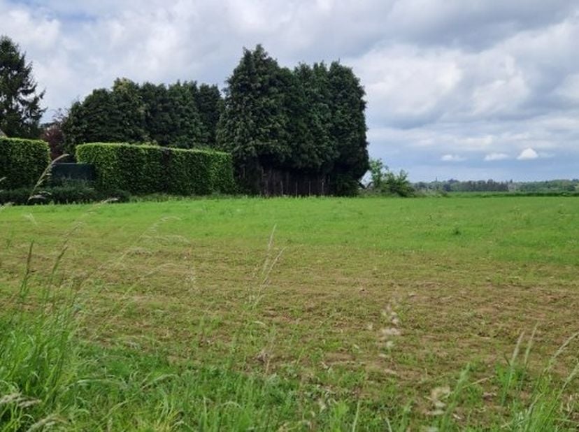 Terrain à vendre
                    à 3401 Walshoutem
