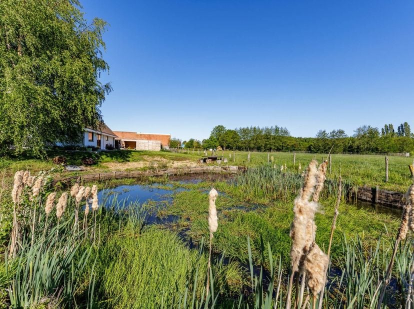 Deze tijdloze en instapklare villa combineert ruimte, licht en comfort met een uitstekende ligging nabij het centrum en toch midden in het groen.<br /