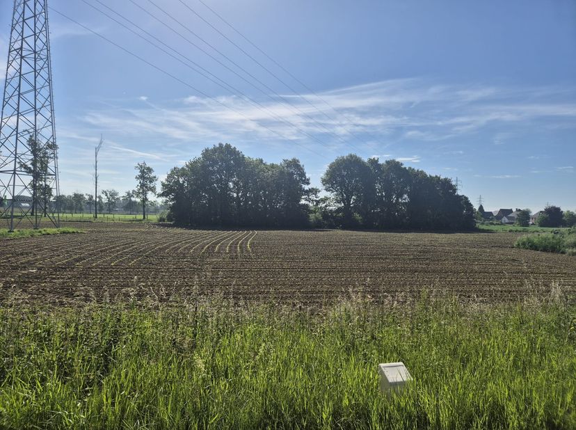 Weiland te koop gelegen naast het gebouw aan de Rijksweg 25 in Maasmechelen, met een totale oppervlakte van 15a65ca (+- 33m breed en 49m diep). Het pe