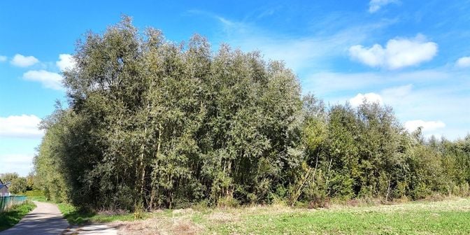 Terrain à vendre à Rue de Bende, 4470 Saint-Georges-sur-Meuse