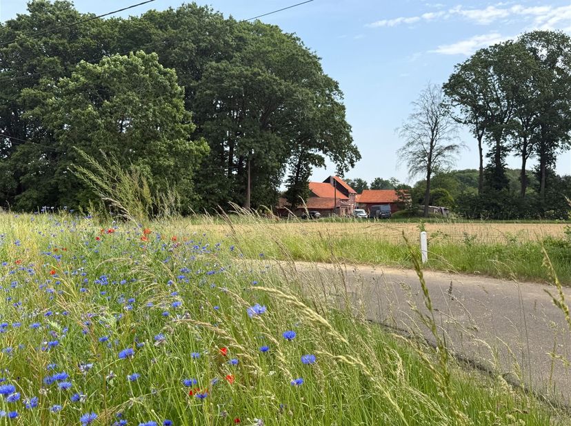 Mooi gelegen hoeve met binnenkoer op een terrein van 2HA gelegen in het grondgebied De Kluis in Holsbeek. <br />
Dit pand kan , mits renovatie, omgev