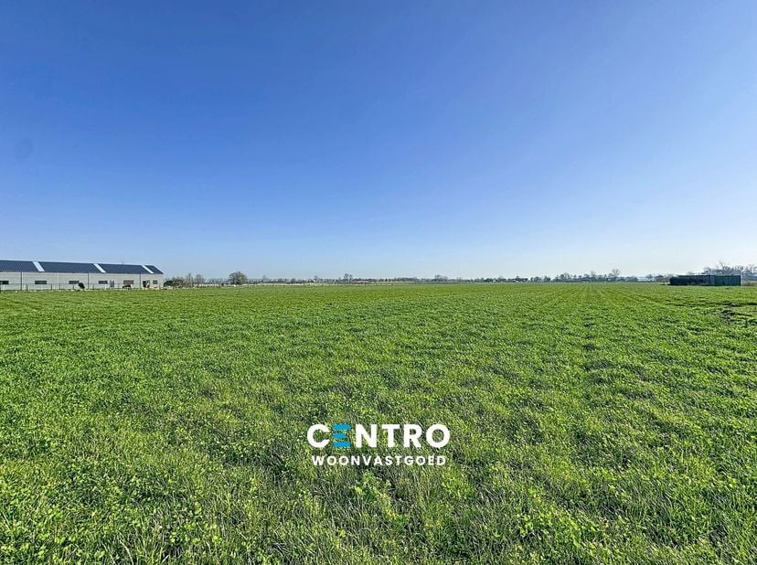 Interessant gelegen perceel grond te Eede (Nederland), op circa 5 minuten van Maldegem, uitermate geschikt voor paarden- en natuurliefhebbers met een