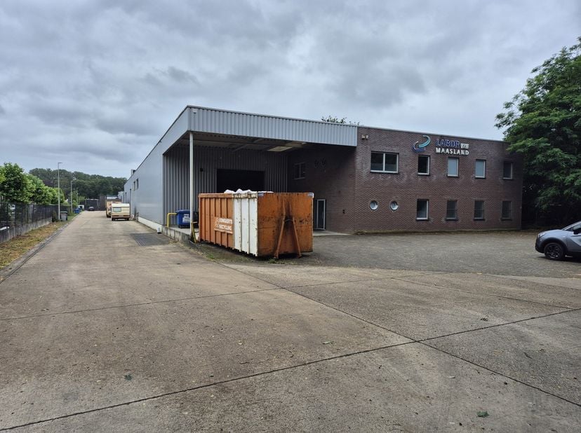 Bien professionnel à vendre à Pannenhuisstraat 36 boîte A,
                    3650 Dilsen