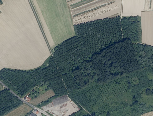                                         Bois à vendre à Oosterzele, € 205.000
