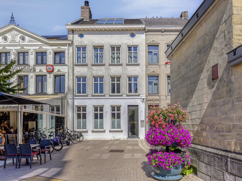 Bien professionnel à vendre
                    à 3960 Bree