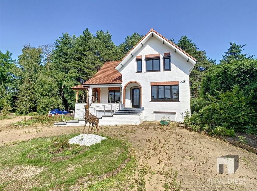 Het huis uit wandelen en niets dan groen zien. Wat een heerlijk gevoel! Deze zeer ruime recent gerenoveerde woning met bos, ook geschikt voor uitvoeri