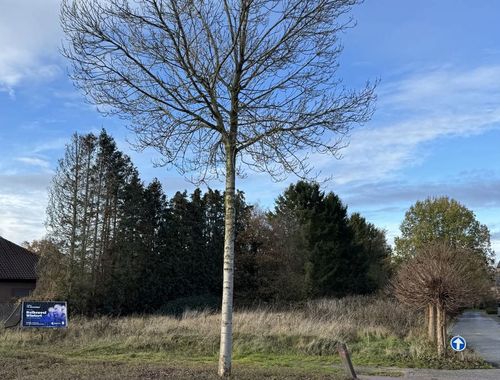                                         Bouwgrond te koop in Balen, € 169.000
