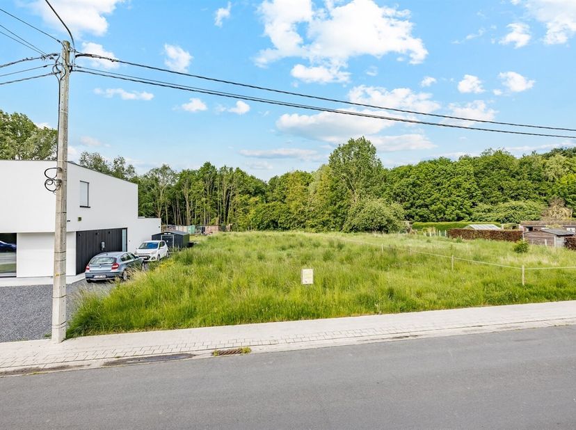 In de rustige Reynaertstraat te Sint-Baafs-Vijve bevindt zich dit uitzonderlijk mooi perceel bouwgrond met een totale oppervlakte van ca. 1.036 m². De